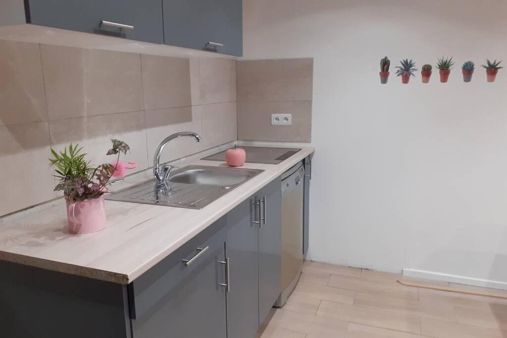 Appartement 3 Pieces Dans Villa Individuelle Falicon Bagian luar foto