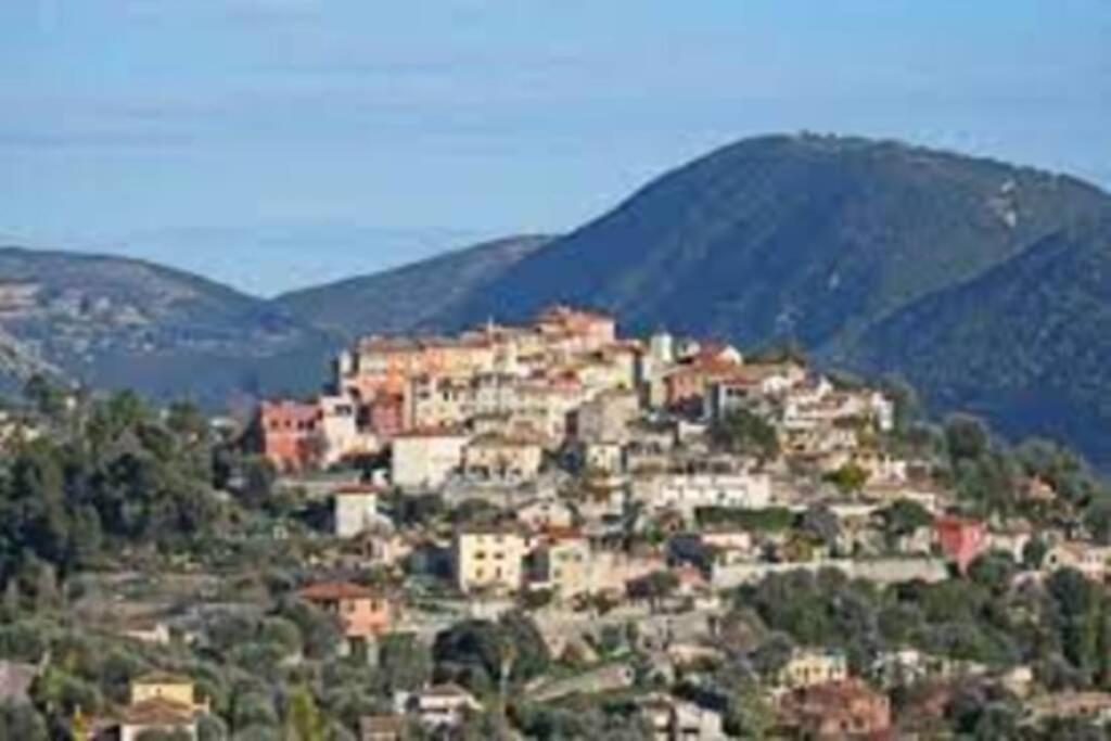 Appartement 3 Pieces Dans Villa Individuelle Falicon Bagian luar foto